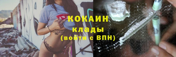 прущая мука Нея