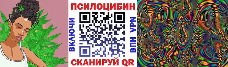 Псилоцибиновые грибы Psilocybe  Зубцов 